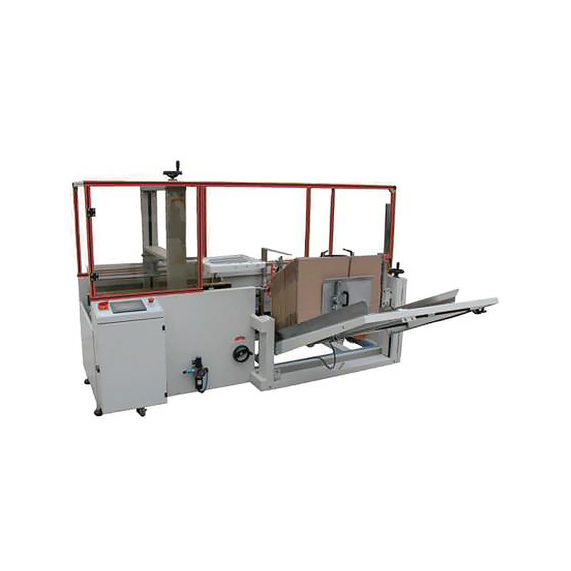 PM-PC-P Piece Type Automatic Case Packer