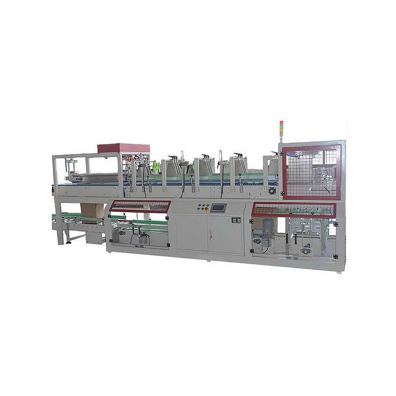 PM-DC-P Drop Down Case Packing Machine