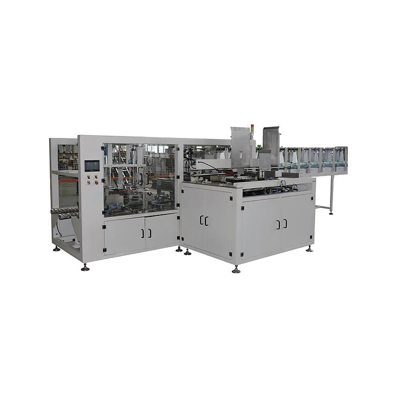 PM-GT-P Piece Type Automatic Case Packer